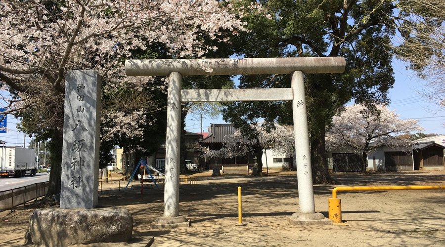 鳥居と桜
