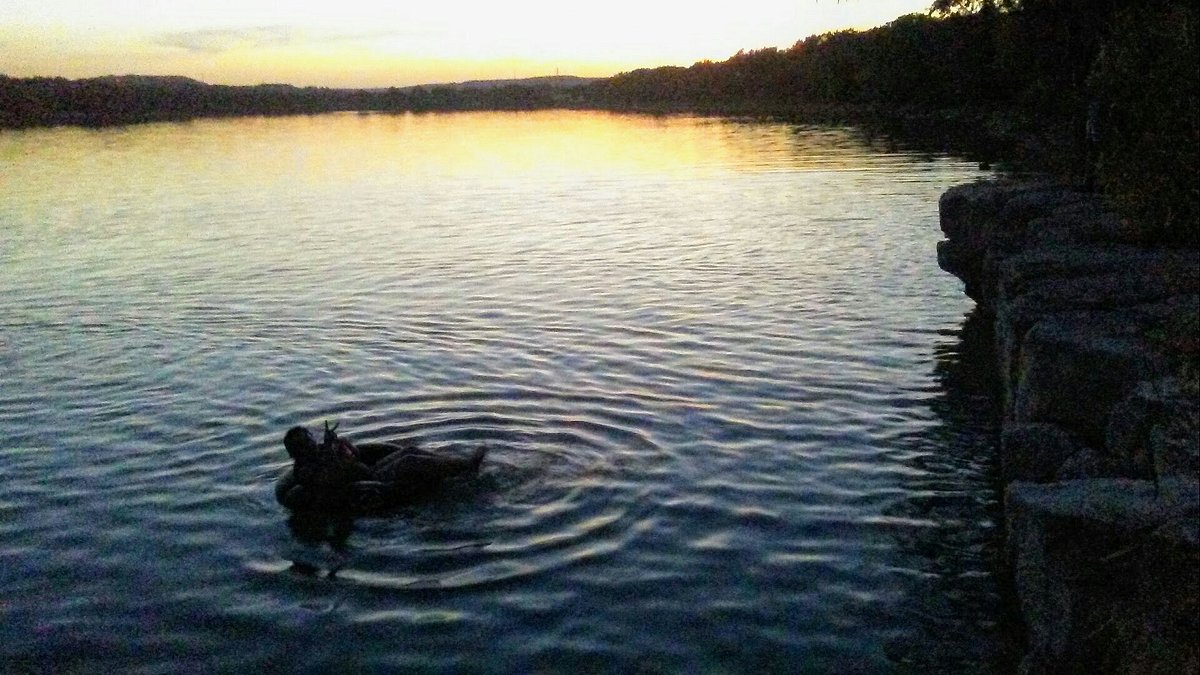 are dogs allowed at boerne lake