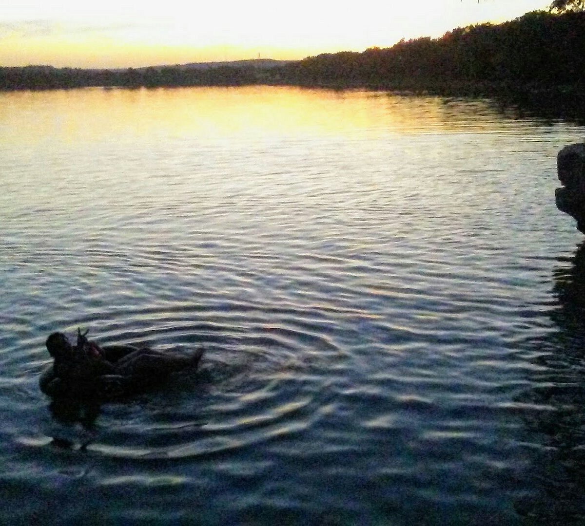 are dogs allowed at boerne lake