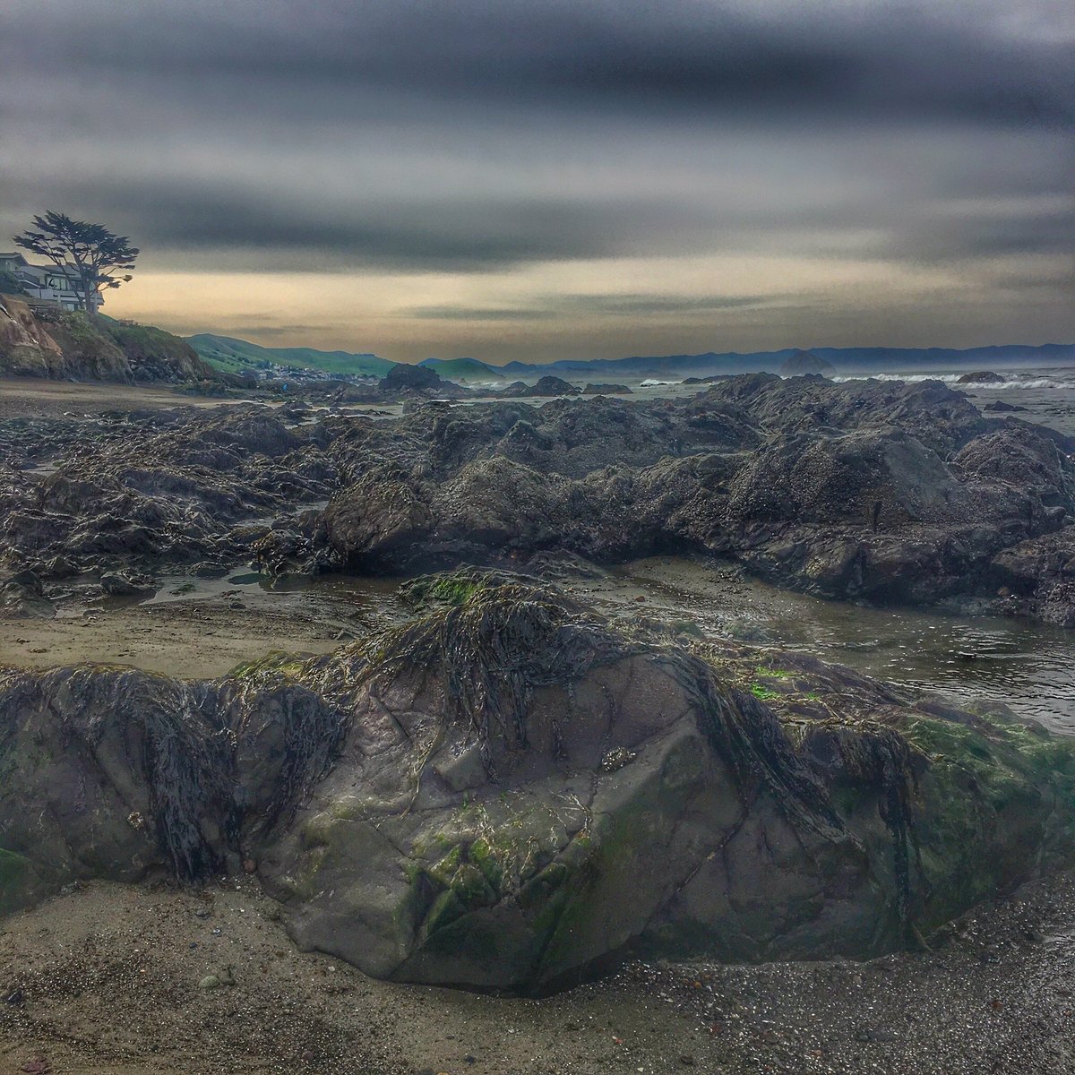 Cayucos State Beach: Where the California Coast Comes Alive