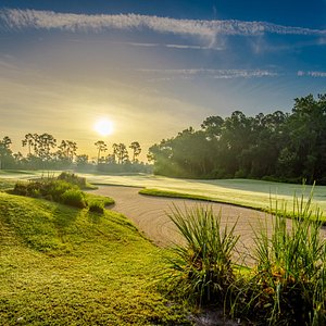 Golf Course Fleming Island