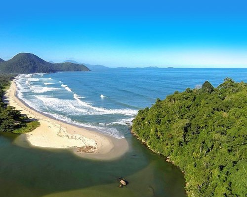 Serpentes comuns em Ubatuba - Curiosidades de Ubatuba