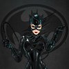 Catwoman105