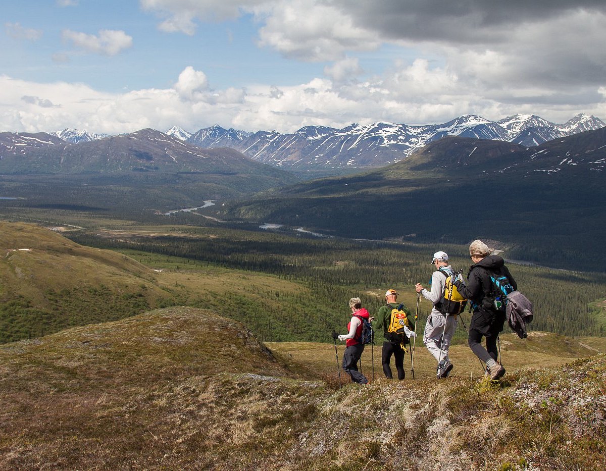 denali hiking tours