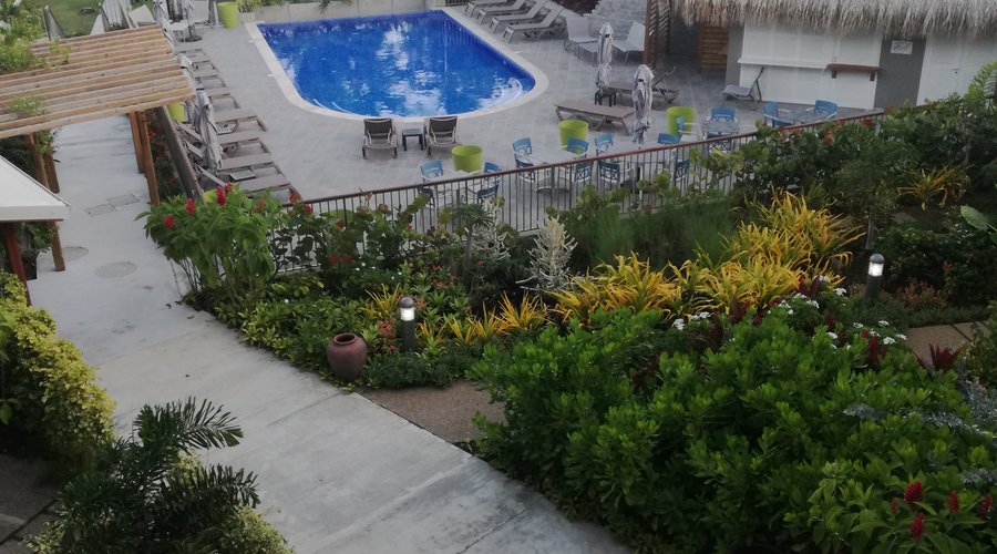 View from the standard rooms