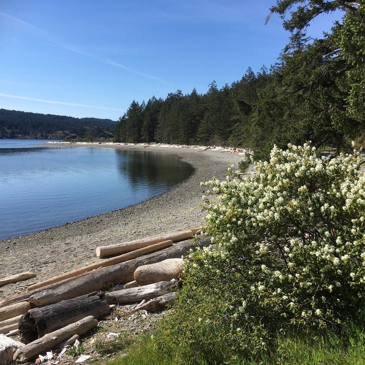 Rebecca Spit Marine Provincial Park Heriot Bay 2023 Alles Wat U