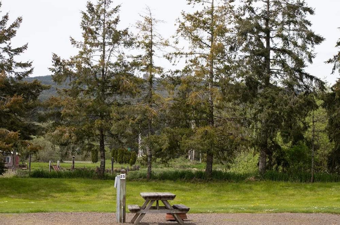 TILLAMOOK COAST RV PARK Prices Campground Reviews Oregon