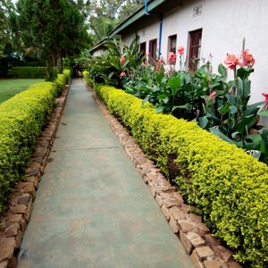 getlstd_property_photo