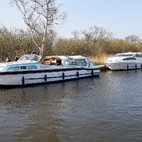The whole family loved visiting Cockshoot Broad