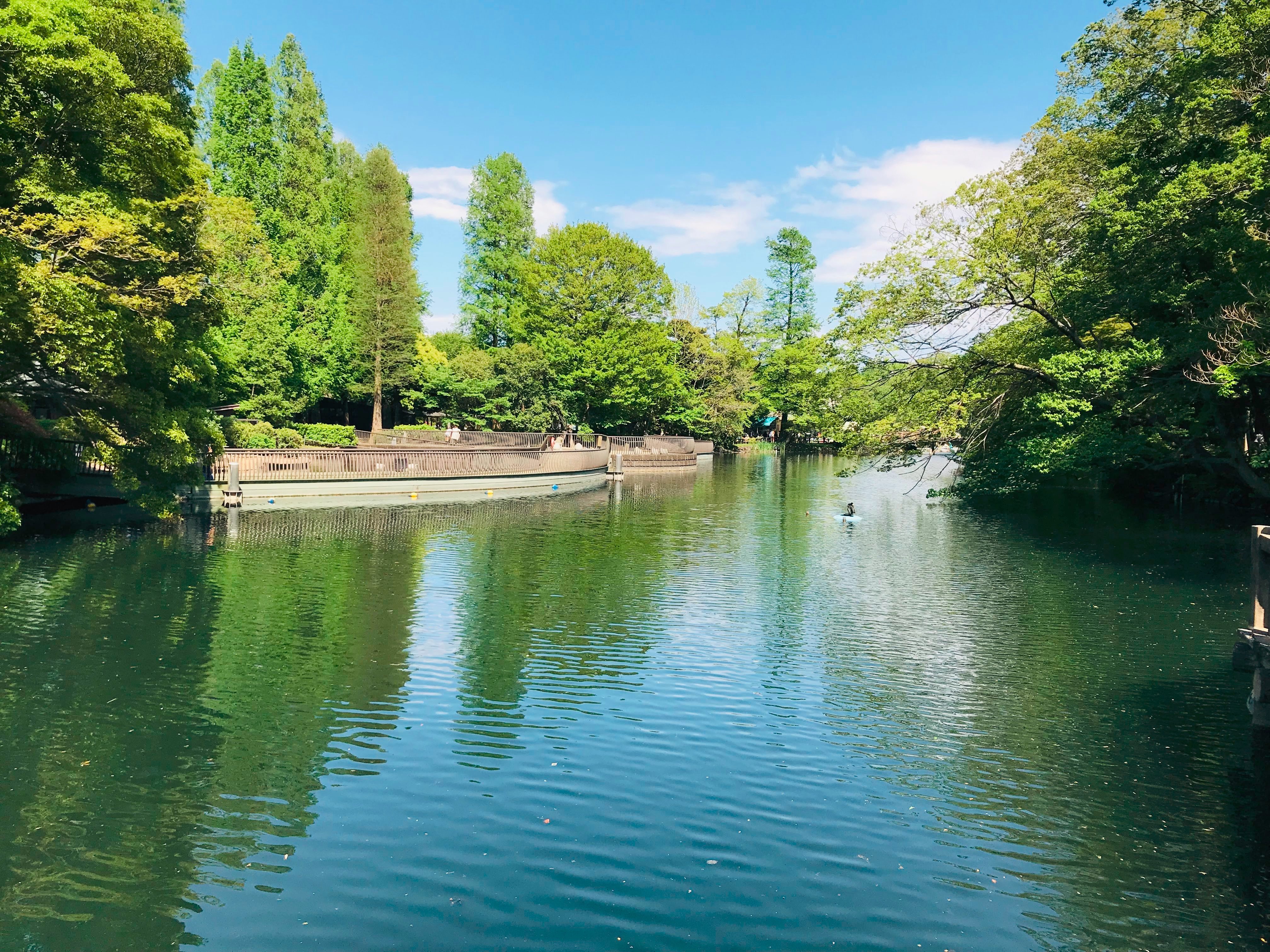 Inokashira Park Zoo (2025) - All You Need to Know BEFORE You