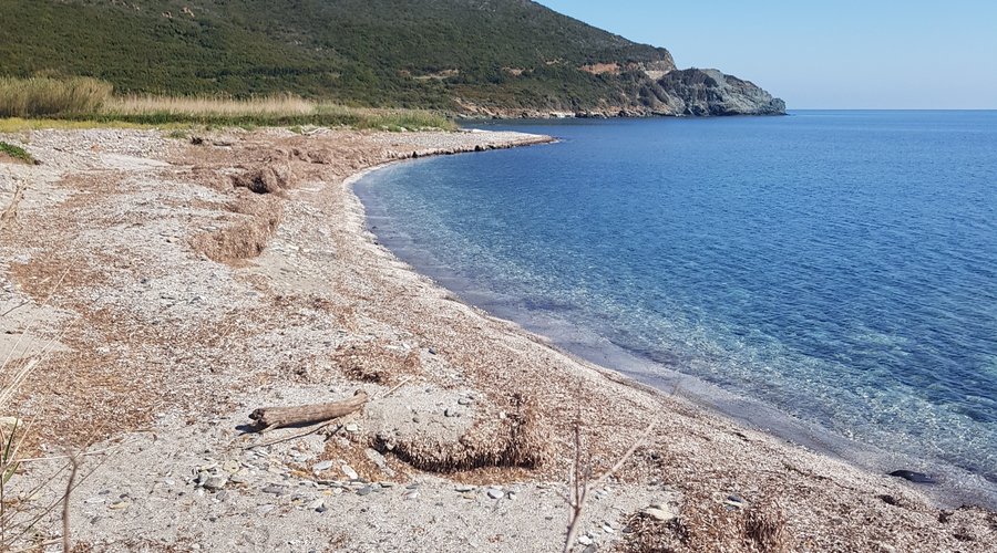 Plage de Murteta à 100m du camping avec un accès privatif sans traverser la route. La plus sauvage des plages du parc marin du Cap-Corse...