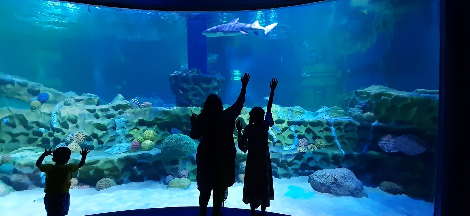 THE 10 BEST Zoos & Aquariums in Tamil Nadu - Tripadvisor