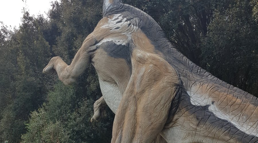 Brachiosauro