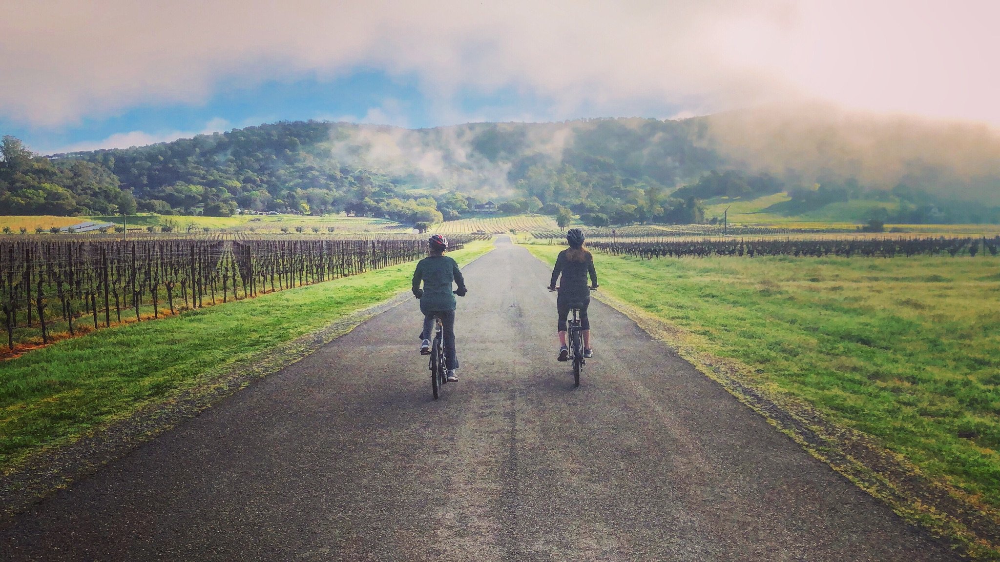 Sonoma CA 2024 Best Places To Visit Tripadvisor   Spring Morning On Bikes 