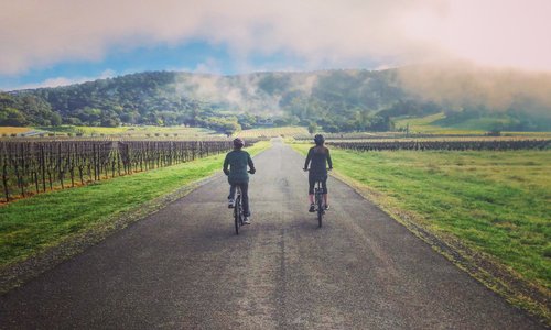 Spring Morning on Bikes.