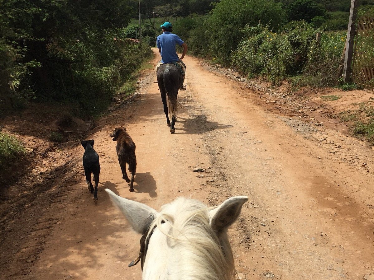 tours por samaipata