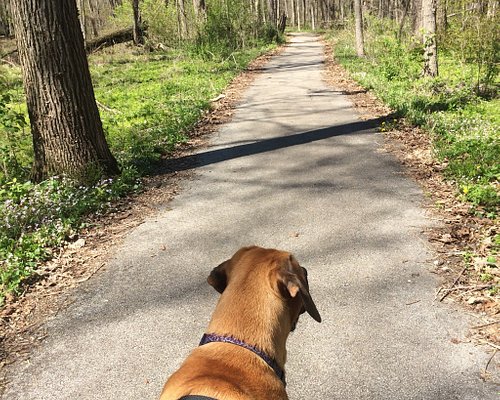THE BEST Outdoor Activities in Joliet - Tripadvisor THE BEST Outdoor Activities in Joliet - Tripadvisor
