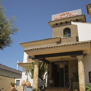 El Hotel Mariantonia ha sido recientemente reformado para brindar a sus huéspedes la máxima calidad y unas modernas instalaciones. Se encuentra a tan sólo 150 metros de la Playa de la Barrosa, una de las mejores joyas de la costa andaluza.

