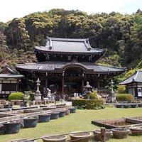 三室戸寺 本堂