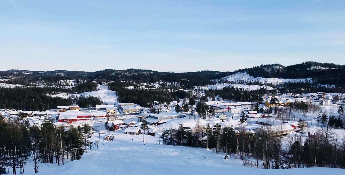 Vegarshei Ski og Aktivitetssenter (Vegarshei Municipality) - All You ...