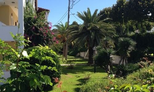 Front garden 