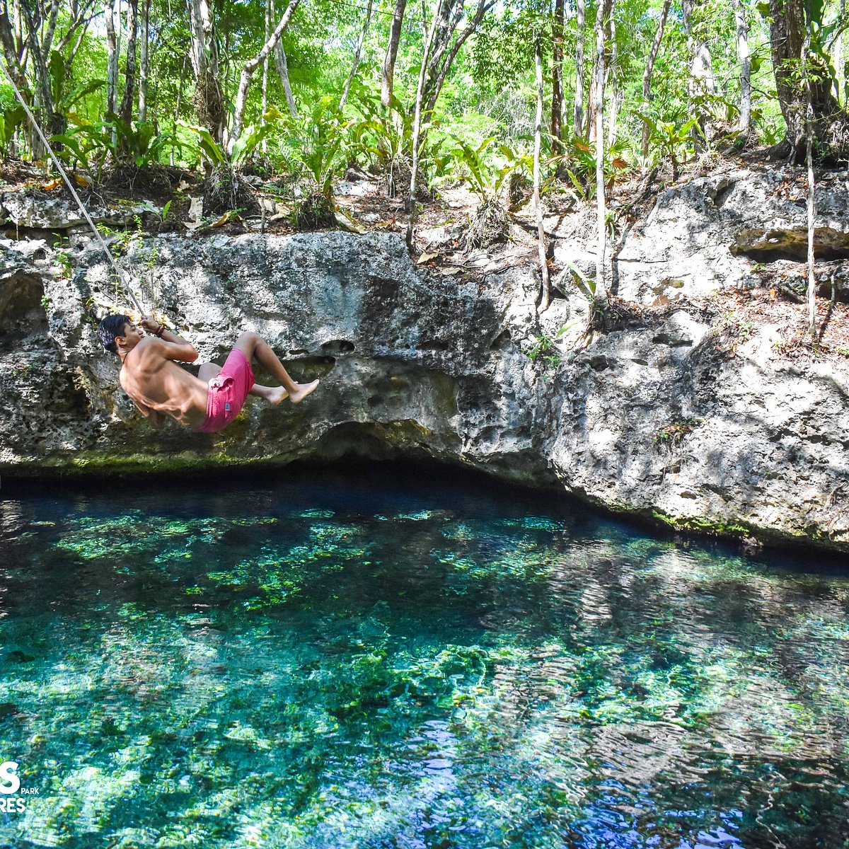 CENOTES PARK HIDDEN TREASURES (Tulum) Ce qu'il faut savoir