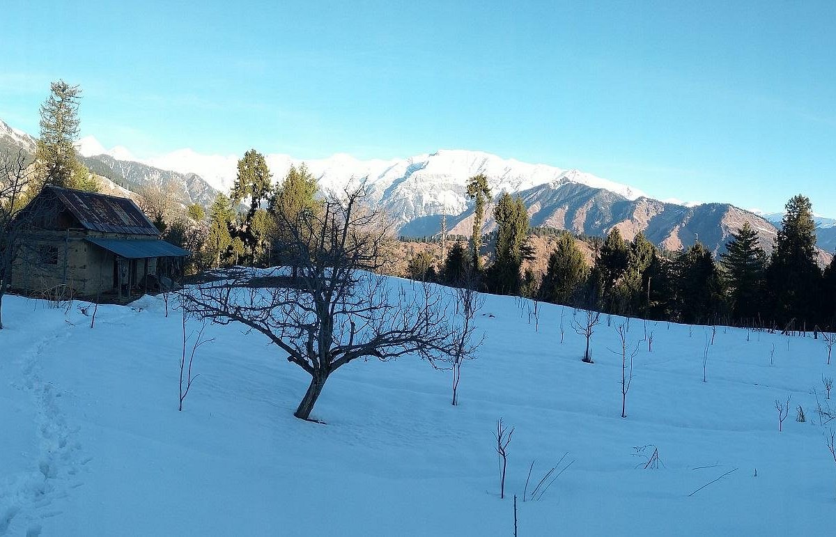 Село кулу. Кулу я ку. Фото кулусын.