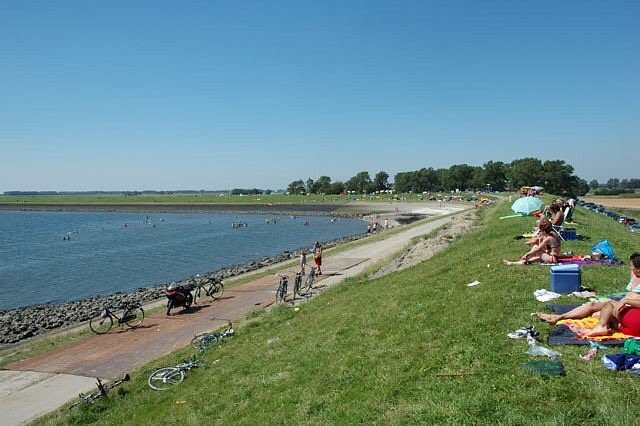 Strand Schelphoek image