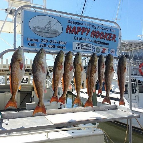 Philly Hooker Fishing Charter - Updated 2024 Prices