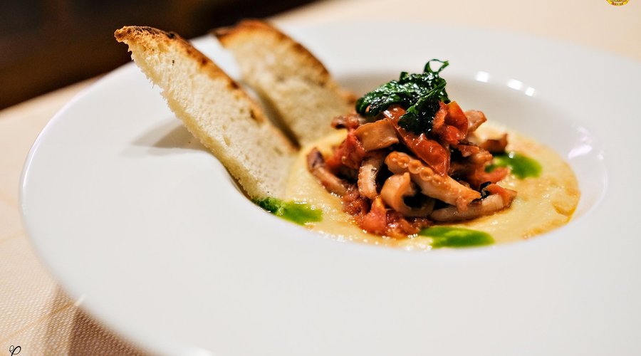 Cibo