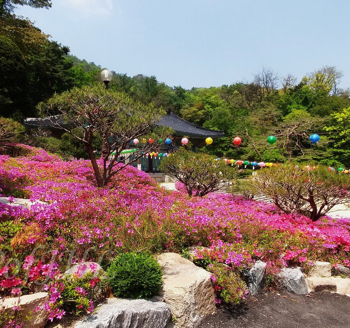 Dong seoul. Канбукку.