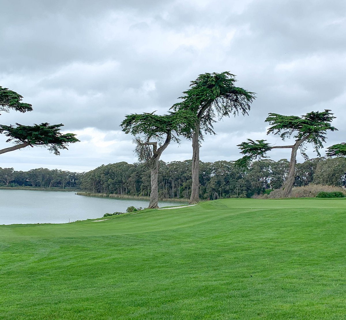 Harding Park Golf Course (San Francisco) Lohnt es sich? (Mit fotos)