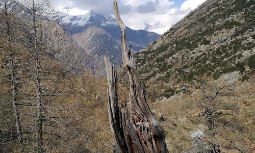 Val Pellice