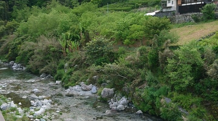 宿の窓からの、景色