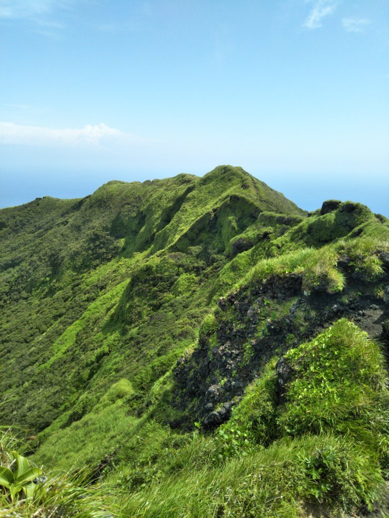THE 15 BEST Things to Do in Hachijo-jima Hachijo-machi (2025)