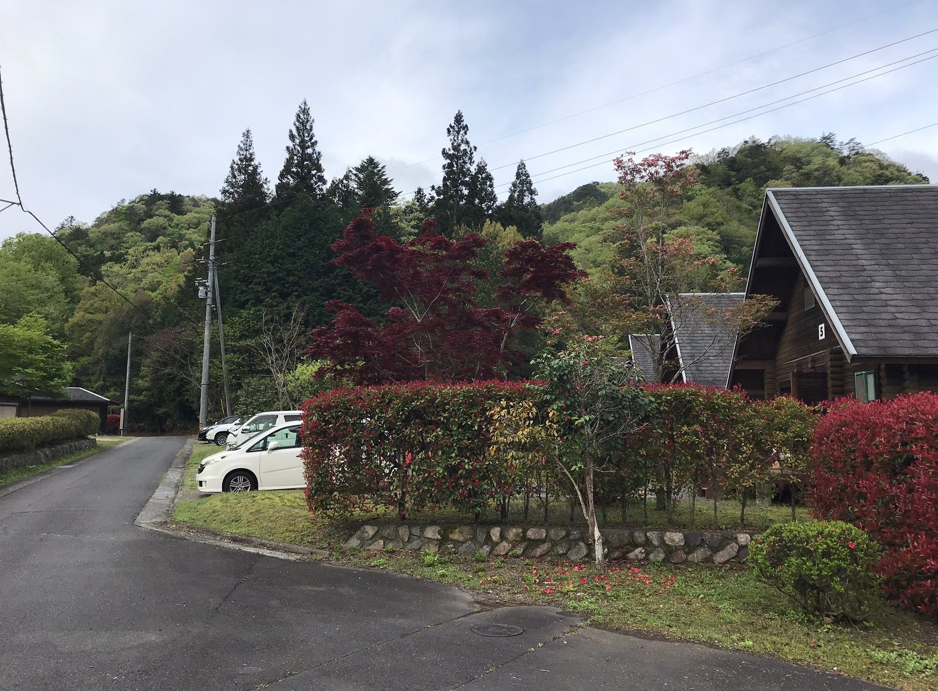 深谷峡温泉 清流の郷 image