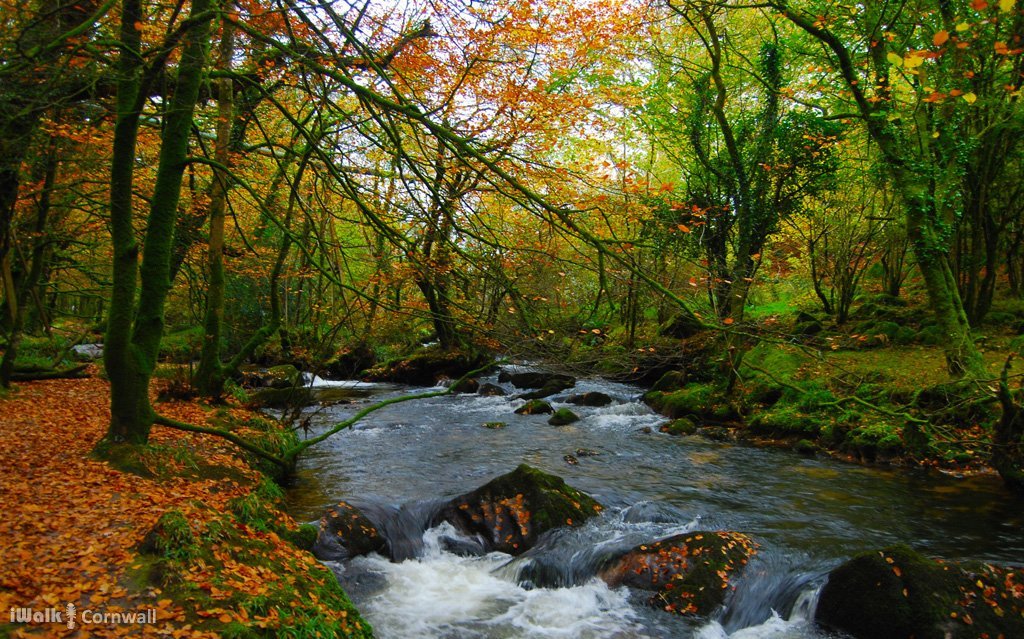 GOLITHA FALLS AND SIBLYBACK LAKE CIRCULAR WALK - All You MUST Know ...