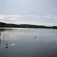 Hösten 2017