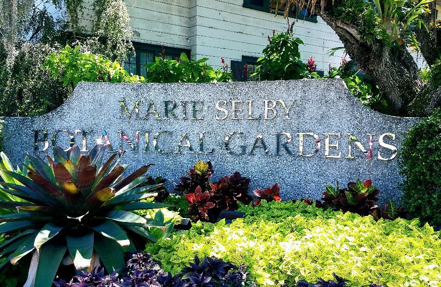 Marie Selby Botanical Gardens image