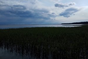 Номера и люксы
