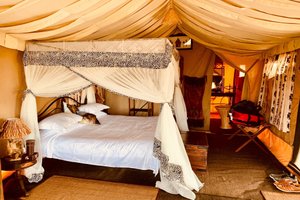 Aurari Camp  Luxury boutique hotel in Serengeti National Park