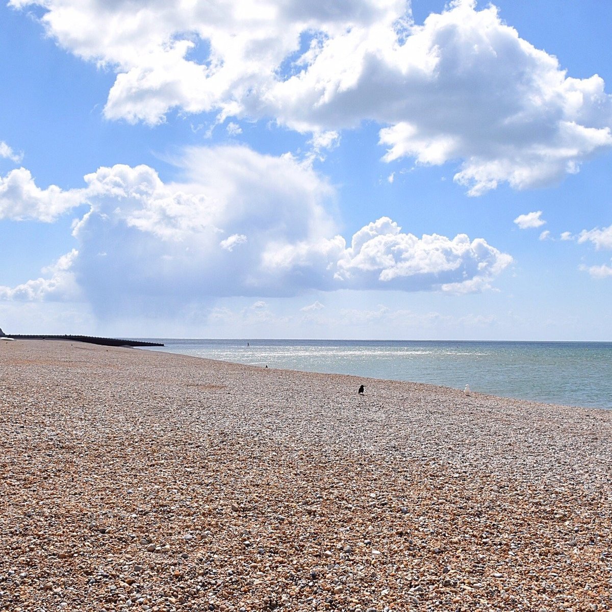 Seaford Beach - All You Need to Know BEFORE You Go (2025)