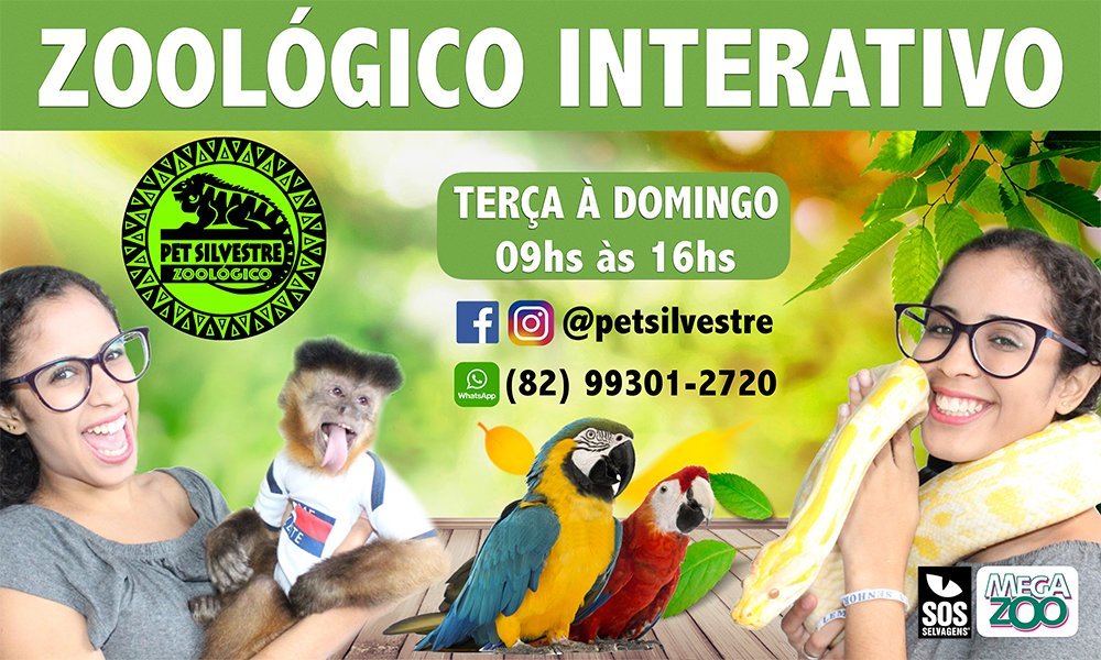 Jogo Passeio com os Pets - Pets 2 - Positiva Legal - Loja Mega