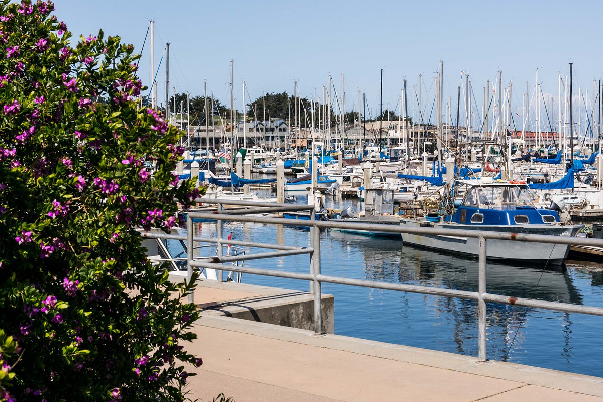 The 10 Best Things To Do In Monterey Tripadvisor The 10 Best Things To Do In Monterey Tripadvisor