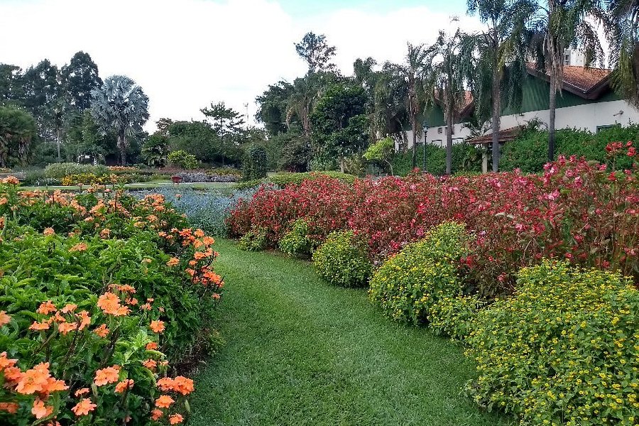 Jardim Botanico Plantarum image