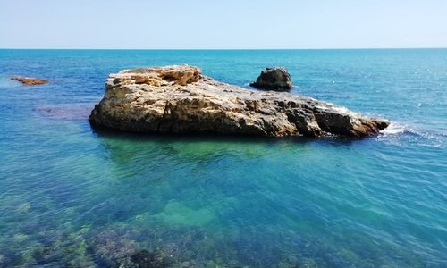 美しくて透き通っている海