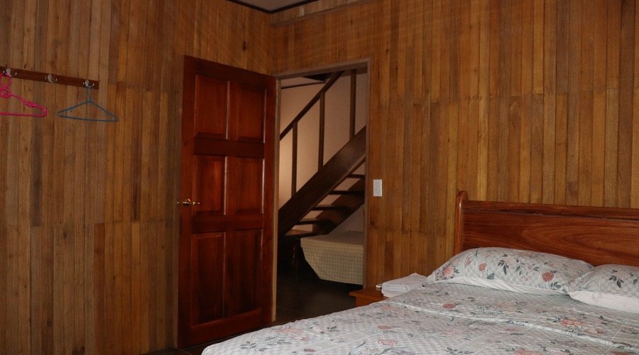 Our Forest rooms are comfortable and spacious. Enjoy and relax before heading to the beach! 