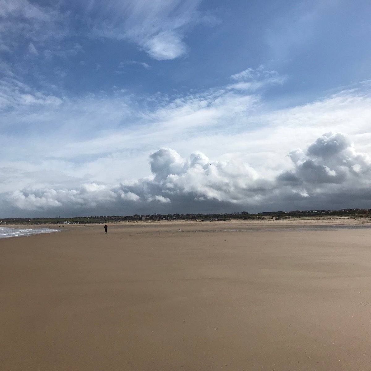 SANDHAVEN BEACH (2024) All You Need to Know BEFORE You Go (with Photos)