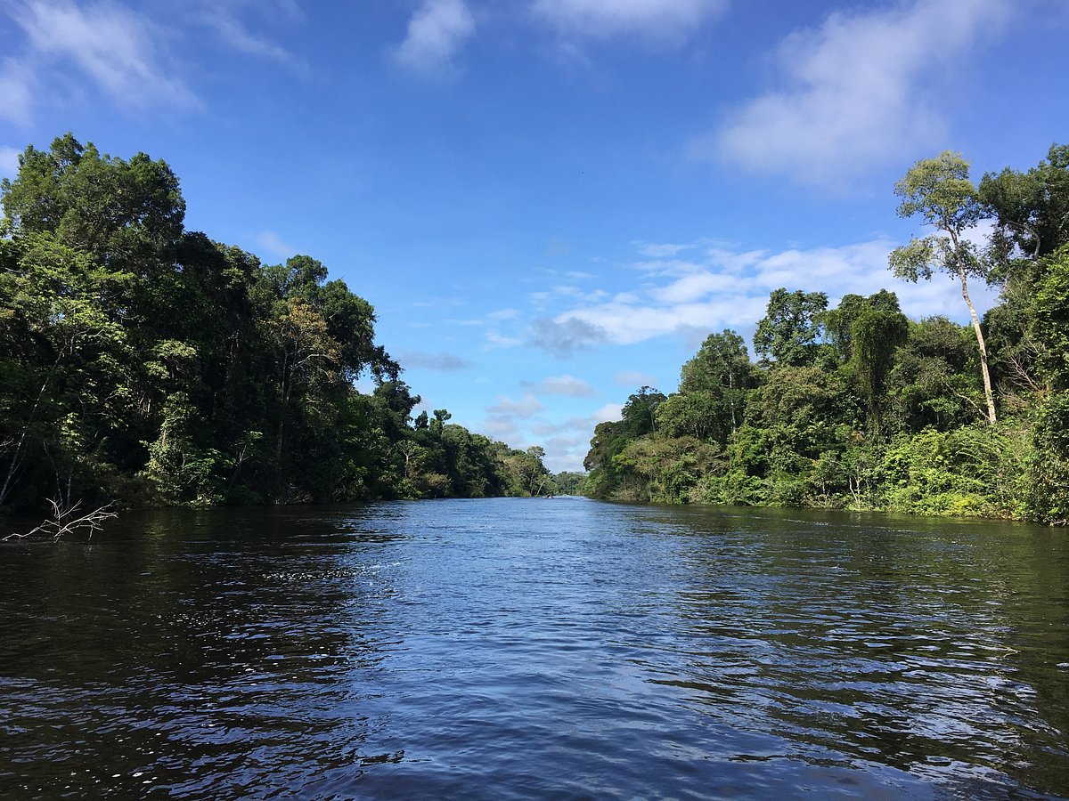 Amazon River (Iquitos) - All You Need to Know BEFORE You Go