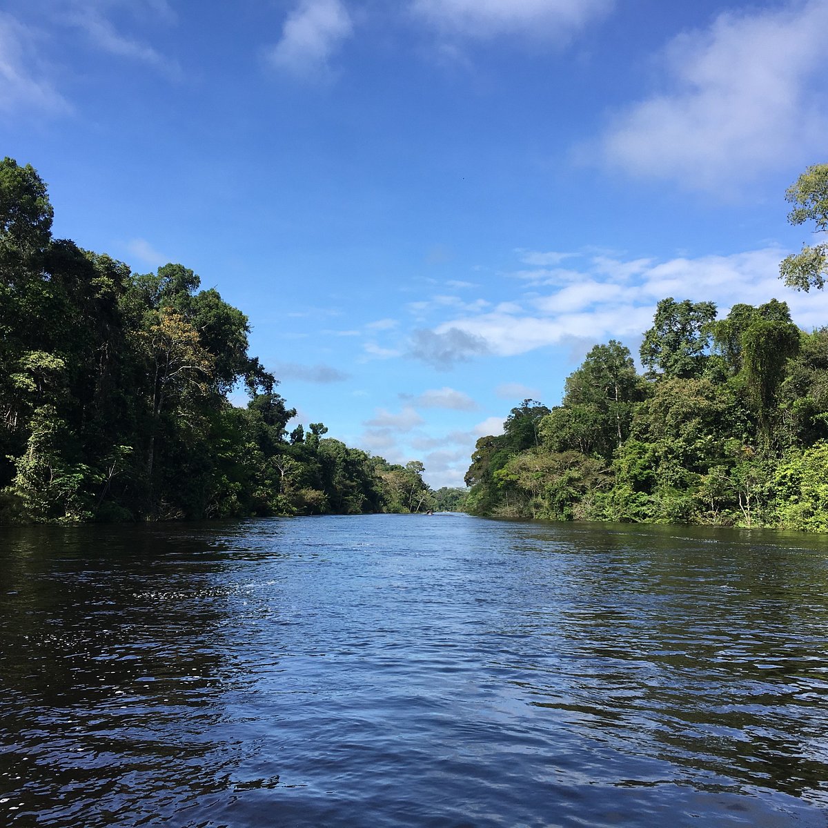 AMAZON RIVER (Iquitos) - All You Need to Know BEFORE You Go